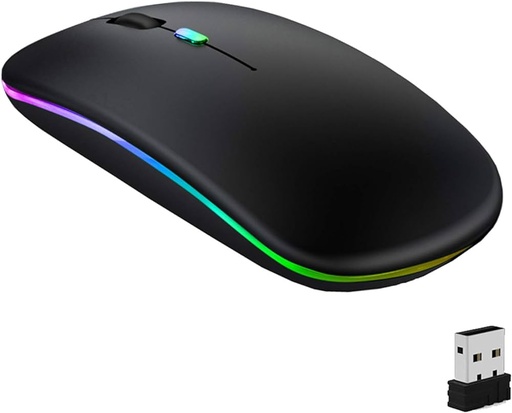 Souris sans fils